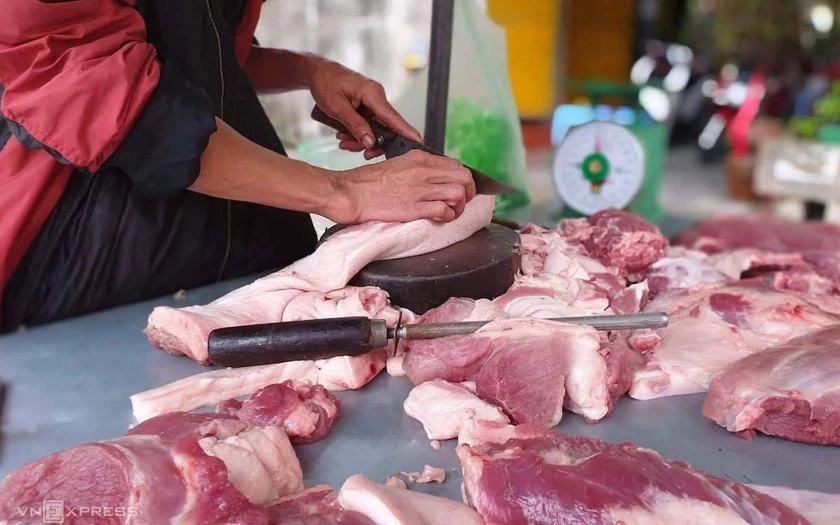 Theo hướng dẫn của Bộ Nông nghiệp và Môi trường, bệnh dịch tả lợn phải tiêu hủy ngay lợn chết do bệnh. Ảnh minh hoạ: IT Theo hướng dẫn của Bộ Nông nghiệp và Môi trường, bệnh dịch tả lợn phải tiêu hủy ngay lợn chết do bệnh. Ảnh minh hoạ: IT