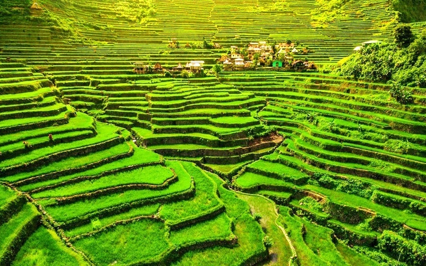 Forbes vinh danh Cẩm Thanh (Hội An) trong "50 thôn làng đẹp nhất thế giới" - Ảnh 6.