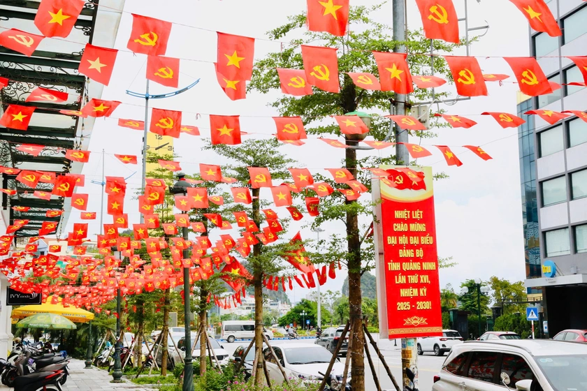 Quảng Ninh: Rực rỡ cờ hoa hướng về Đại hội Đại biểu Đảng bộ tỉnh - Ảnh 4.