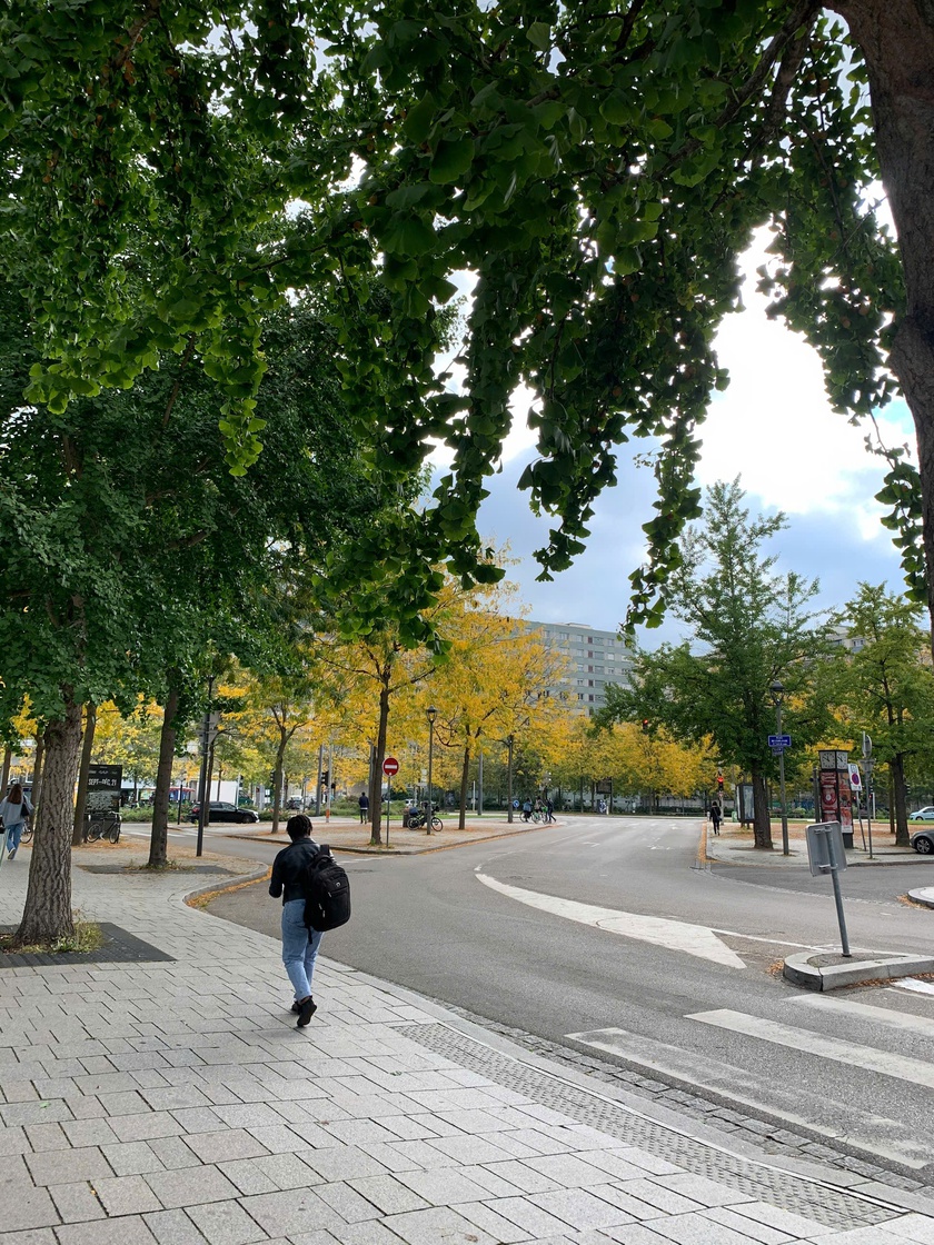 Lạc lối ở Strasbourg, thành phố cổ kính với nét đẹp ưu tư ở nước Pháp - Ảnh 11.