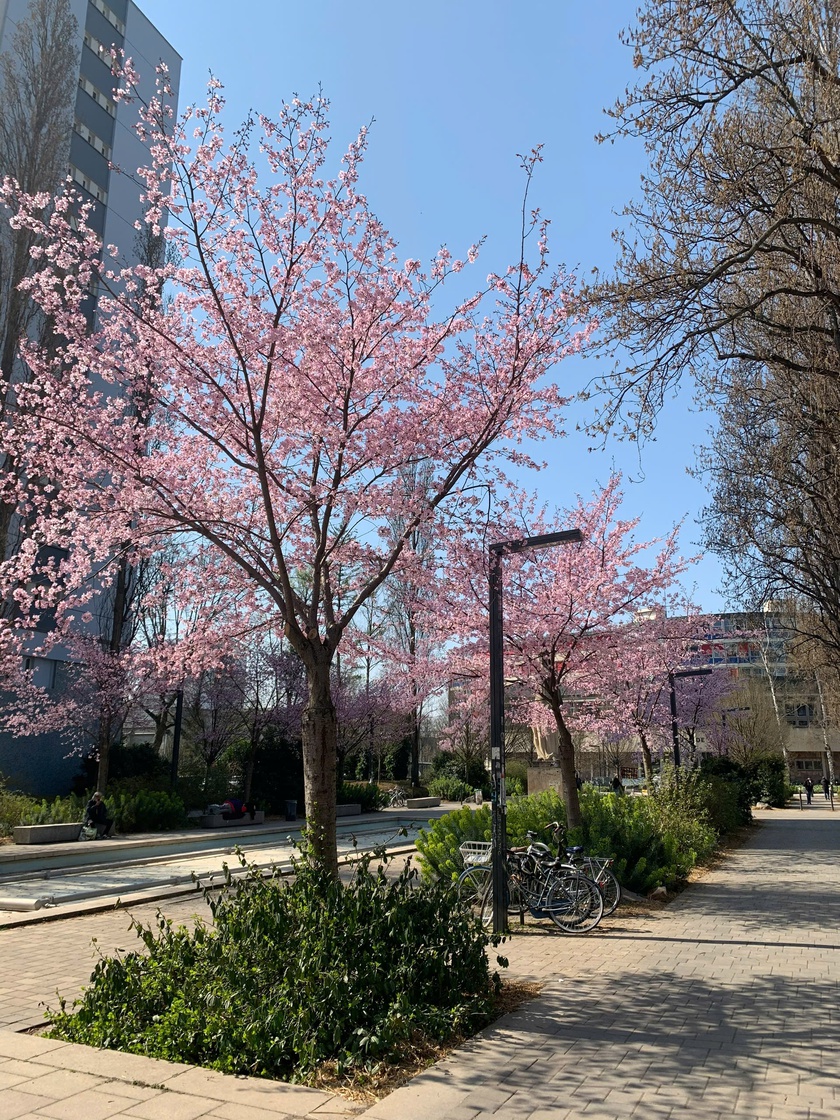 Lạc lối ở Strasbourg, thành phố cổ kính với nét đẹp ưu tư ở nước Pháp - Ảnh 22.