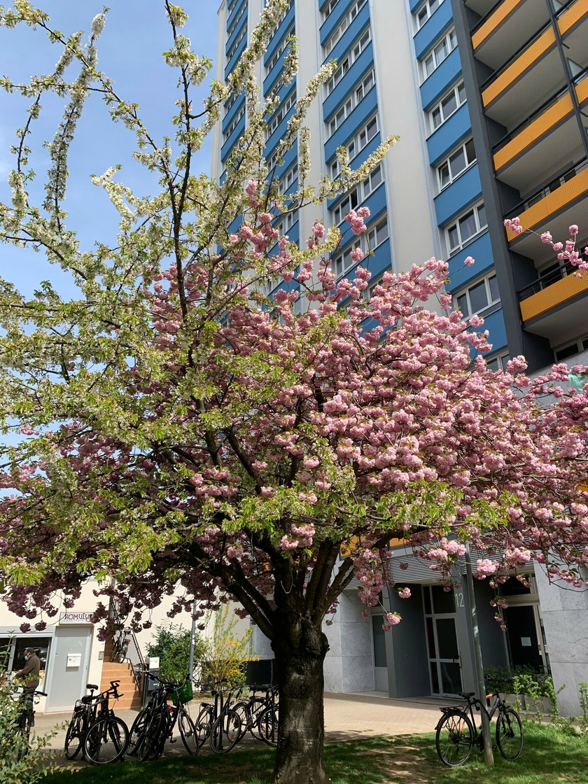 Lạc lối ở Strasbourg, thành phố cổ kính với nét đẹp ưu tư ở nước Pháp - Ảnh 21.
