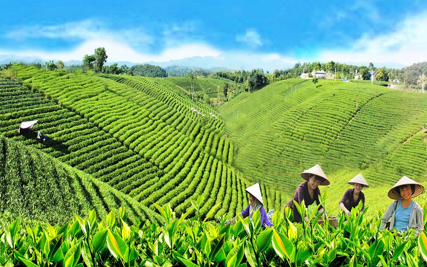 Thái Nguyên hướng tới trung tâm công nghiệp hiện đại trước năm 2030 - Ảnh 4.
