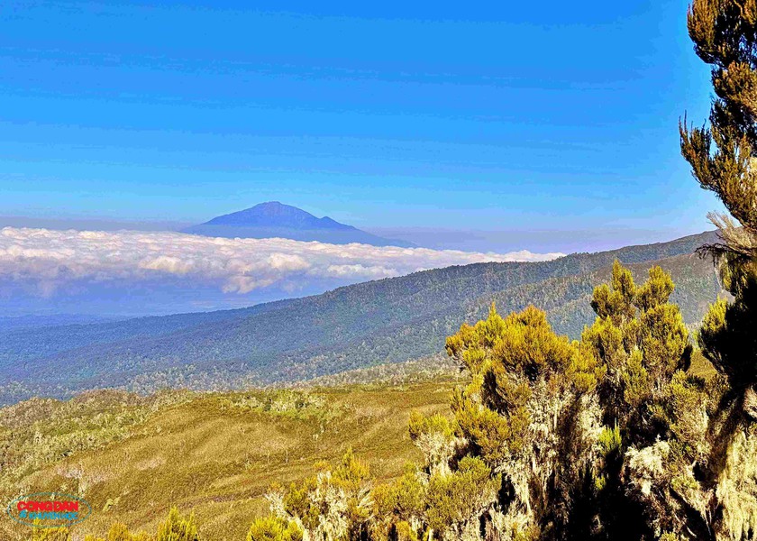Đường lên đỉnh Kilimanjaro: Lời thì thầm từ "Nóc nhà châu Phi" - Ảnh 9.