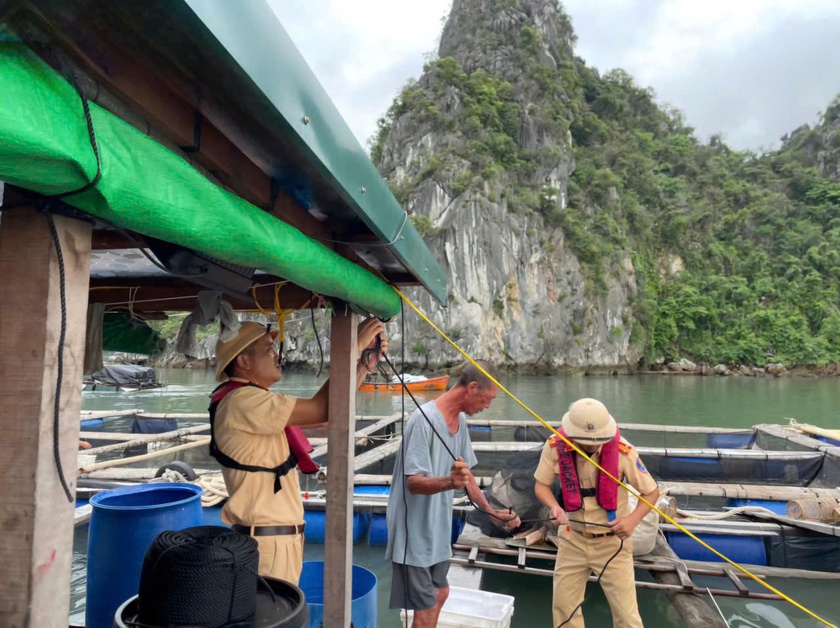 Đối phó với bão Ragasa, Quảng Ninh tạm ngừng cấp phép tàu trên vùng biển - Ảnh 2.