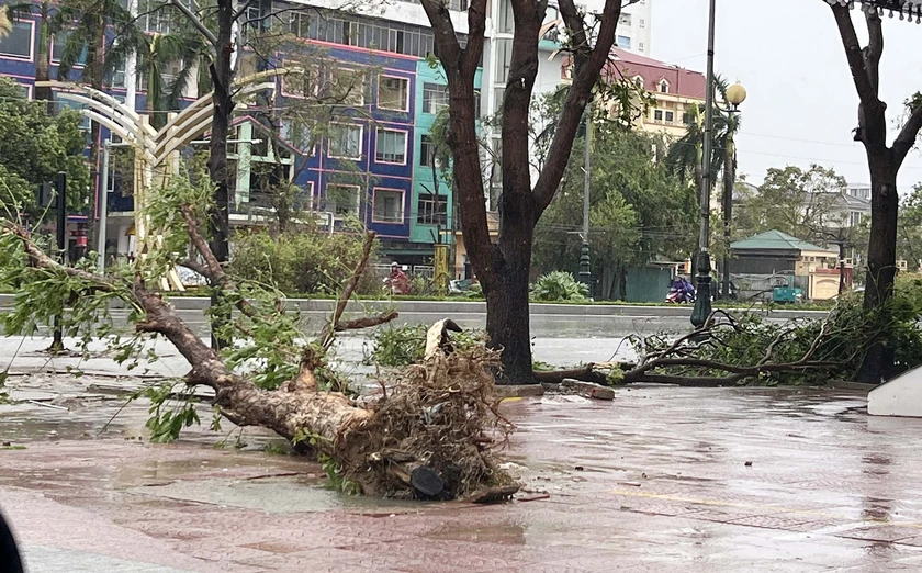 Bão số 10 đổ bộ vào Nghệ An, người dân trắng đêm chứng kiến gió giật kinh hoàng- Ảnh 7.