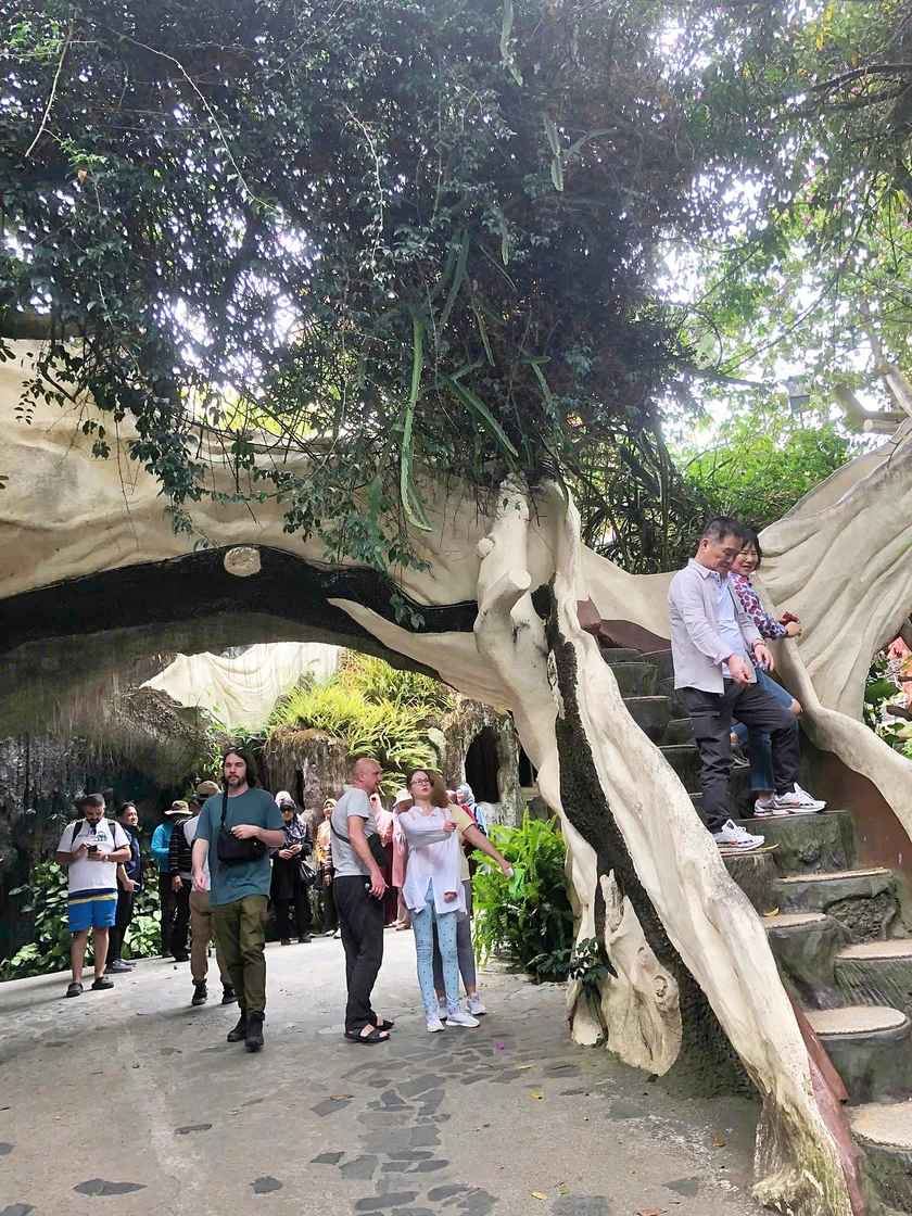 Khúc giao mùa Đà Lạt "săn" hoa mai anh đào nở sớm - Ảnh 3.