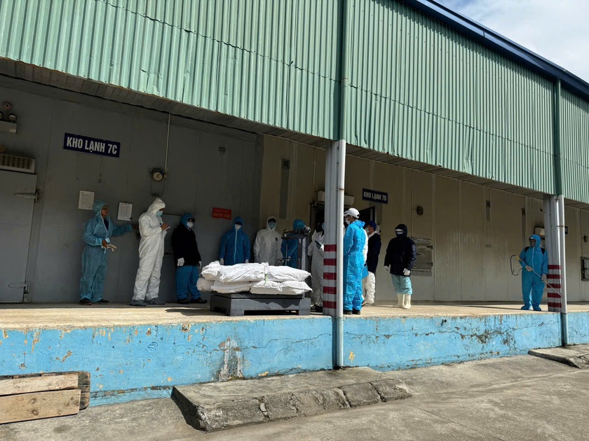 Vụ 130 tấn lợn nhiễm bệnh tại c&ocirc;ng ty Cổ phần Đồ hộp Hạ Long, tạm giữ một c&aacute;n bộ kiểm dịch - Ảnh 1.