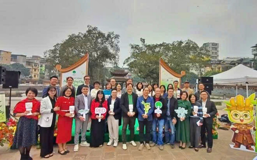 Từ trồng c&acirc;y cộng đồng đến trồng tre chống lũ - Ảnh 4.