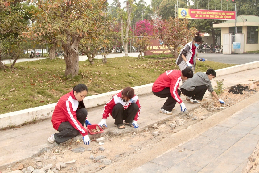 Tuổi trẻ Đại học Th&aacute;i Nguy&ecirc;n ra qu&acirc;n vệ sinh m&ocirc;i trường, chỉnh trang đ&ocirc; thị - Ảnh 4.