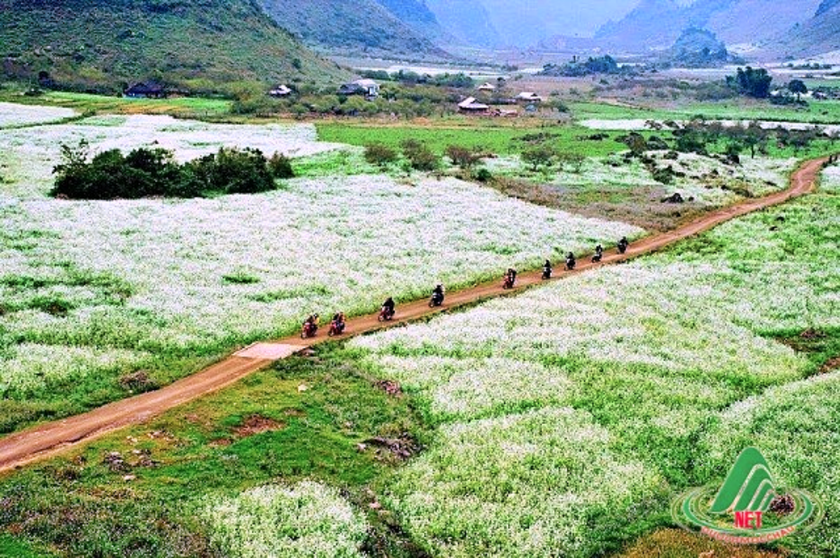 Mùa "Giải Oscar ngành du lịch" năm 2026 thành công của Việt Nam - Ảnh 7.