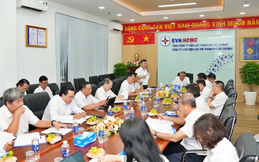 Lưới điện cao thế Th&agrave;nh phố Hồ Ch&iacute; Minh nỗ lực ho&agrave;n th&agrave;nh nhiệm vụ năm 2026 - Ảnh 1.