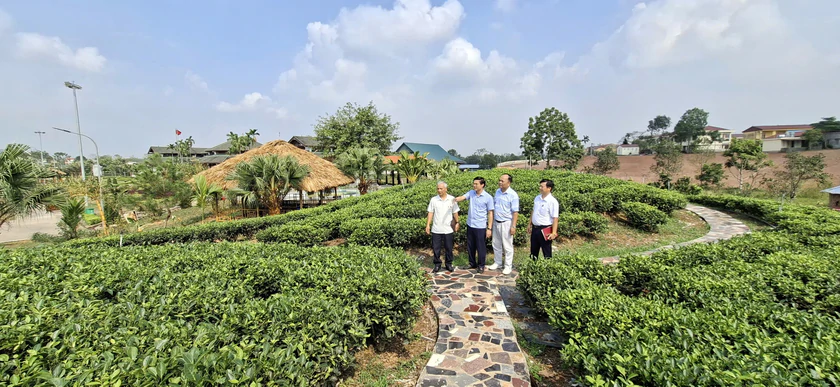 T&acirc;n Cương sẵn s&agrave;ng đ&oacute;n Festival Tr&agrave; Quốc tế - Th&aacute;i Nguy&ecirc;n 2026 - Ảnh 4.