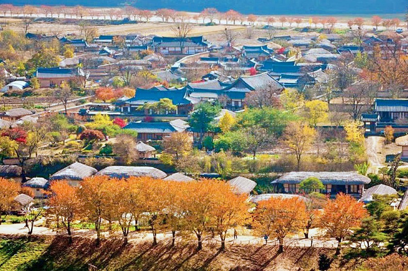 Du lịch m&ugrave;a Halloween: H&agrave;n Quốc n&oacute;i kh&ocirc;ng với "b&oacute;ng ma" thảm họa Itaewon - Ảnh 7.