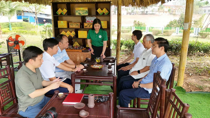 T&acirc;n Cương sẵn s&agrave;ng đ&oacute;n Festival Tr&agrave; Quốc tế - Th&aacute;i Nguy&ecirc;n 2026 - Ảnh 3.