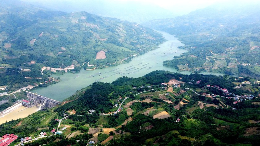 &ldquo;V&agrave;ng xanh&rdquo; tr&ecirc;n n&uacute;i đ&aacute; Cốc Ly  - Ảnh 2.