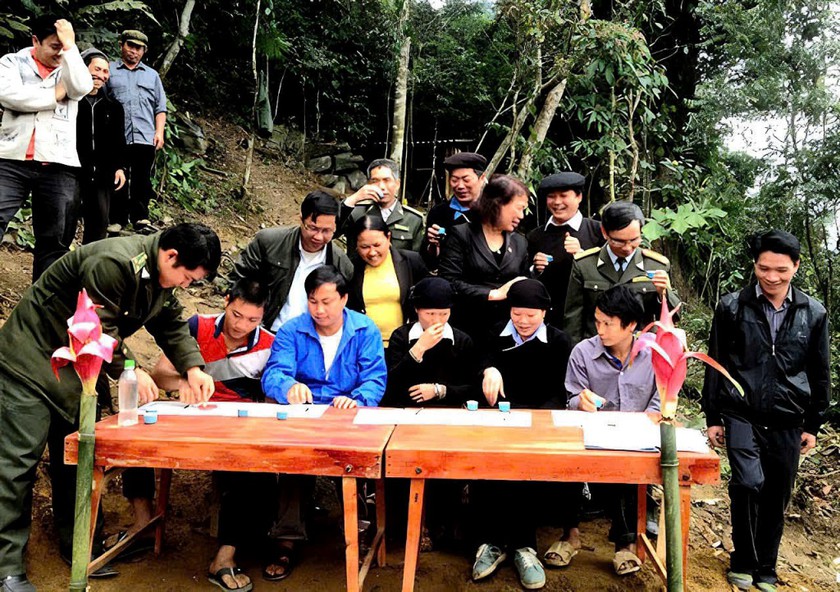&ldquo;V&agrave;ng xanh&rdquo; tr&ecirc;n n&uacute;i đ&aacute; Cốc Ly  - Ảnh 6.