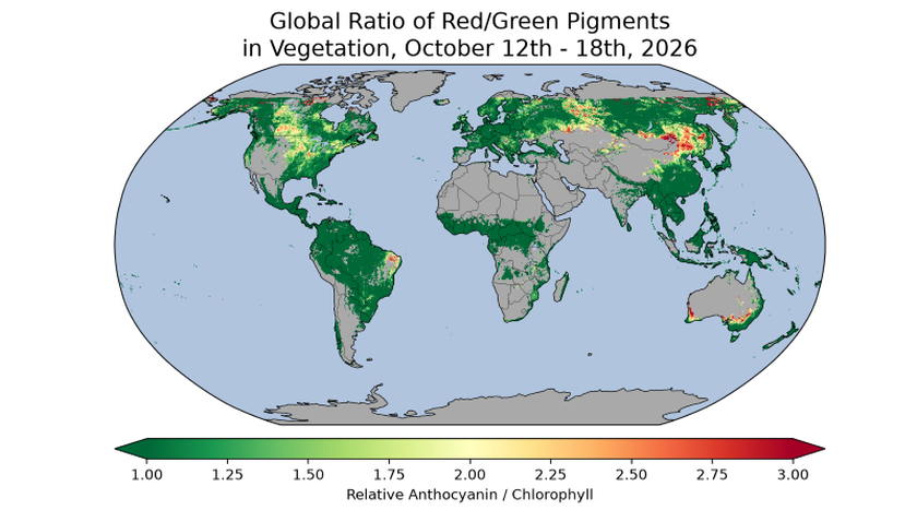 Vệ tinh NASA săn sắc đỏ m&ugrave;a thu từ kh&ocirc;ng gian - Ảnh 2.