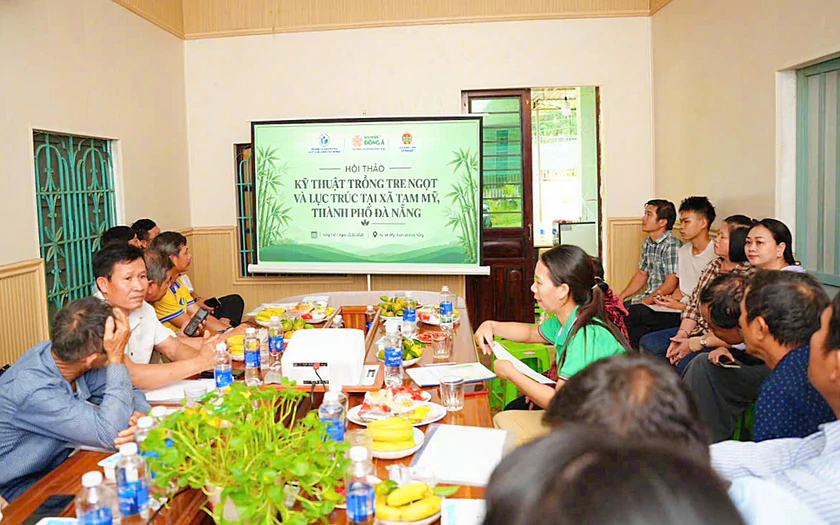 Trường Đại học Đ&ocirc;ng &Aacute; hướng dẫn kỹ thuật trồng tre ngọt, lục tr&uacute;c, mở hướng sinh kế cho n&ocirc;ng d&acirc;n x&atilde; Tam Mỹ - Ảnh 4.