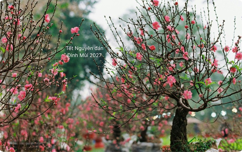 B&igrave;nh ổn thị trường dịp Tết Nguy&ecirc;n đ&aacute;n Đinh M&ugrave;i 2027 - Ảnh 1.
