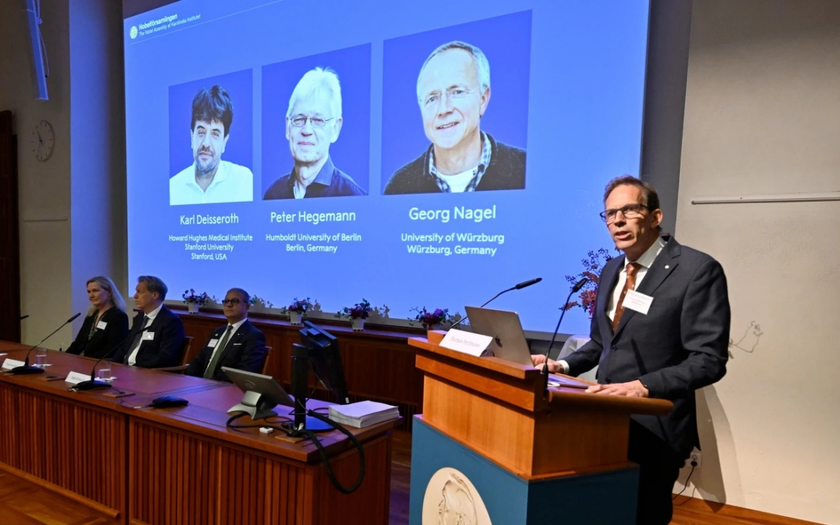 Nobel Y sinh 2026: &ldquo;C&ocirc;ng tắc &aacute;nh s&aacute;ng&rdquo; gi&uacute;p c&aacute;c nh&agrave; khoa học lần đầu kiểm tra n&atilde;o bằng c&aacute;ch bật, tắt neuron - Ảnh 1.
