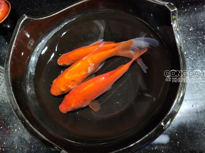 Phong tục thả c&aacute; ch&eacute;p v&agrave;o ng&agrave;y &ocirc;ng C&ocirc;ng &ocirc;ng T&aacute;o: N&eacute;t đẹp d&acirc;n gian của người Việt - Ảnh 1.