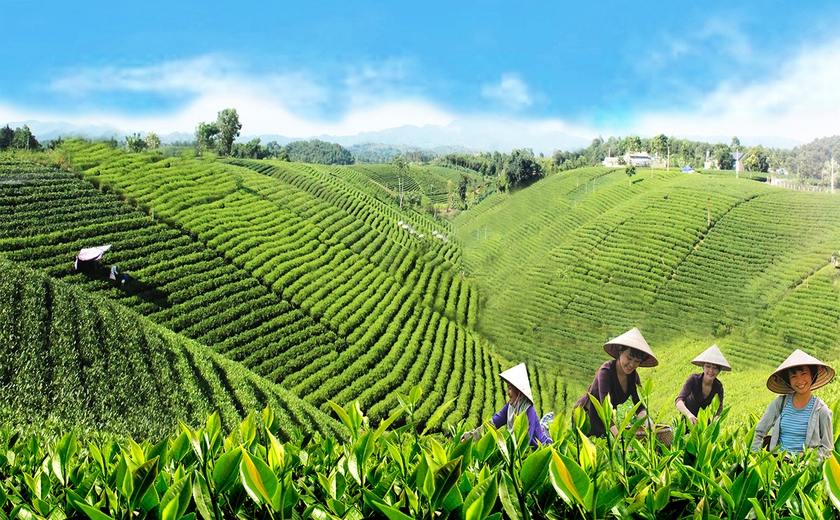 Th&aacute;i Nguy&ecirc;n - Tầm nh&igrave;n mới, Kh&aacute;t vọng vươn xa - Ảnh 6.