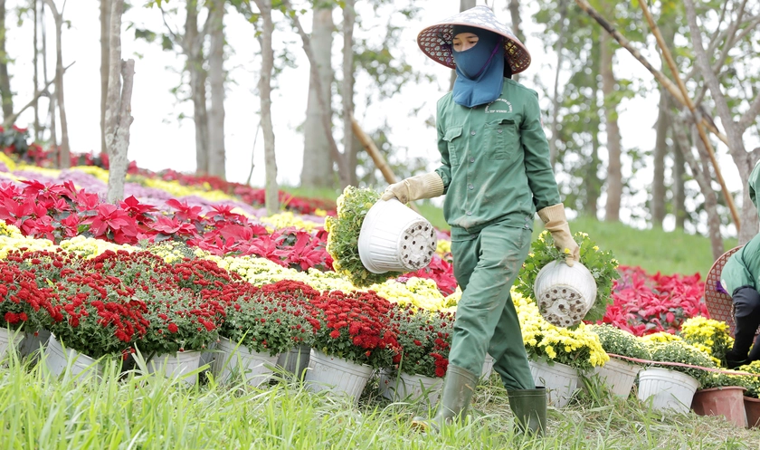 Nghệ An rộn r&agrave;ng sắc xu&acirc;n đ&oacute;n Tết B&iacute;nh Ngọ - Ảnh 5.