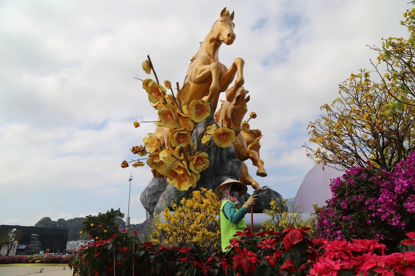 Sức h&uacute;t của đại lộ hoa v&agrave; &aacute;nh s&aacute;ng Tết B&iacute;nh Ngọ tại Quảng Ninh - Ảnh 5.