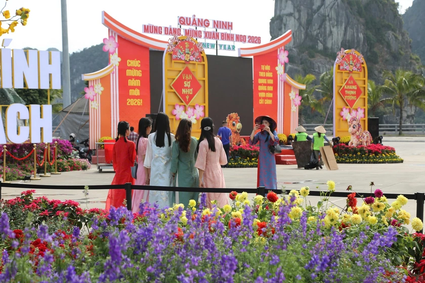Sức h&uacute;t của đại lộ hoa v&agrave; &aacute;nh s&aacute;ng Tết B&iacute;nh Ngọ tại Quảng Ninh - Ảnh 8.
