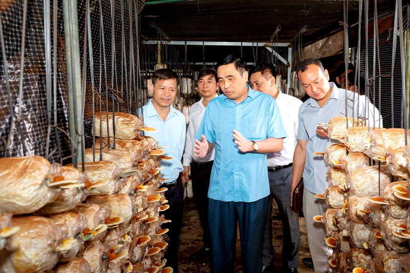 Giữ vững màu xanh Hoàng Liên bằng tri thức và tình yêu với rừng - Ảnh 3.