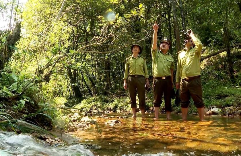 Giữ vững màu xanh Hoàng Liên bằng tri thức và tình yêu với rừng - Ảnh 4.