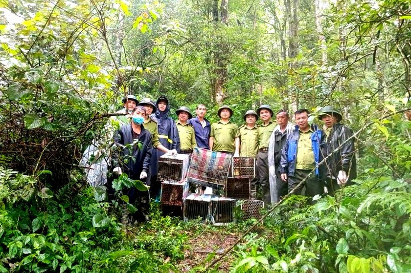 Giữ vững màu xanh Hoàng Liên bằng tri thức và tình yêu với rừng - Ảnh 8.