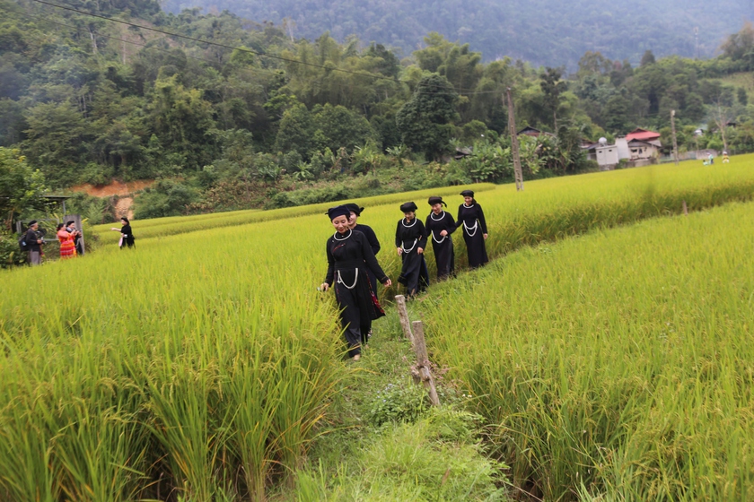 Văn Lang - H&agrave;nh tr&igrave;nh đ&aacute;nh thức bản sắc giữa đại ng&agrave;n - Ảnh 9.