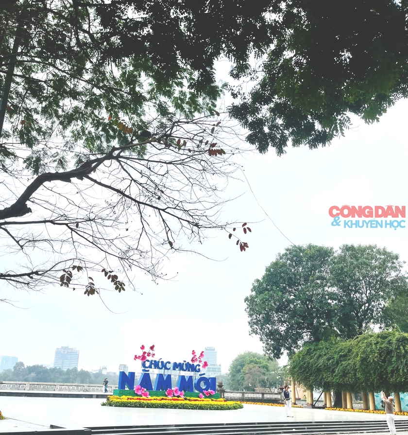 Trải nghiệm Tết Việt tại C&ocirc;ng vi&ecirc;n Thống Nhất: Kh&ocirc;ng gian xanh rộn r&agrave;ng sắc xu&acirc;n - Ảnh 1.