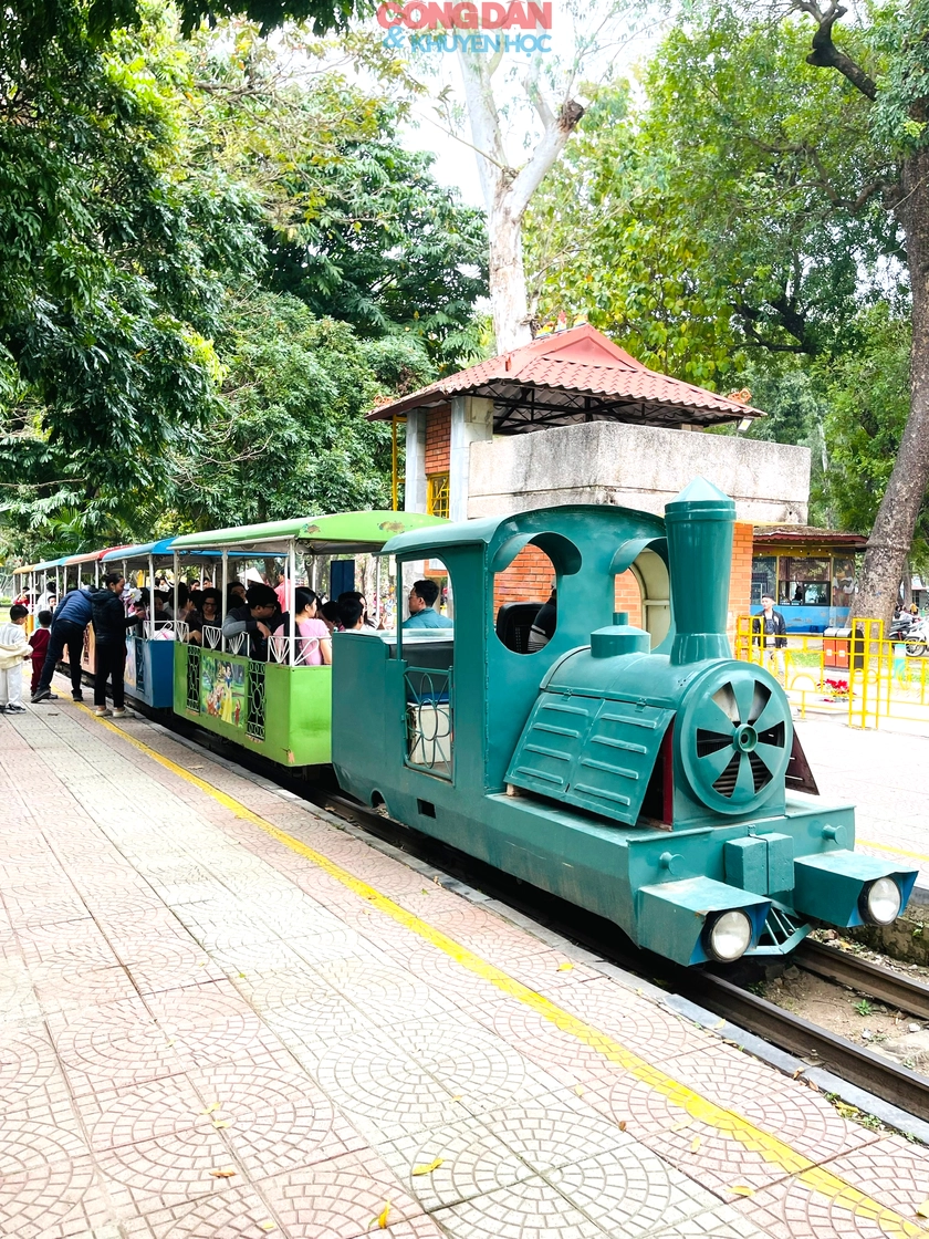 Trải nghiệm Tết Việt tại C&ocirc;ng vi&ecirc;n Thống Nhất: Kh&ocirc;ng gian xanh rộn r&agrave;ng sắc xu&acirc;n - Ảnh 4.