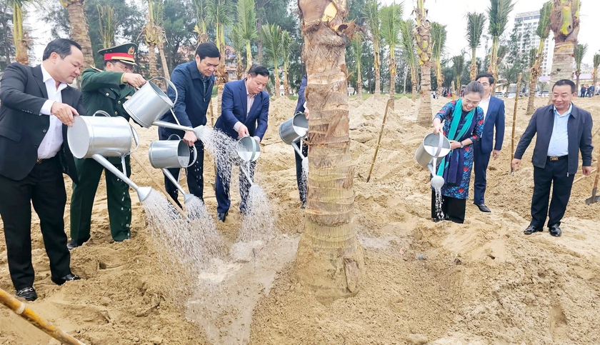 Nghệ An ph&aacute;t động trồng c&acirc;y xanh b&ecirc;n bờ biển Cửa L&ograve; - Ảnh 4.