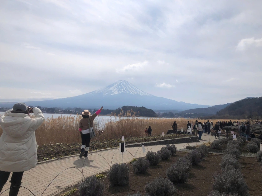 Du xu&acirc;n Nhật Bản: Từ c&aacute;c điểm đến ng&ocirc;i sao đang l&ecirc;n tới bộ sưu tập g&oacute;c nh&igrave;n n&uacute;i thi&ecirc;ng Ph&uacute; Sĩ - Ảnh 6.