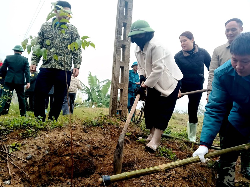 V&ugrave;ng cao Bản X&egrave;o ph&aacute;t động trồng c&acirc;y Tết sớm - Ảnh 4.