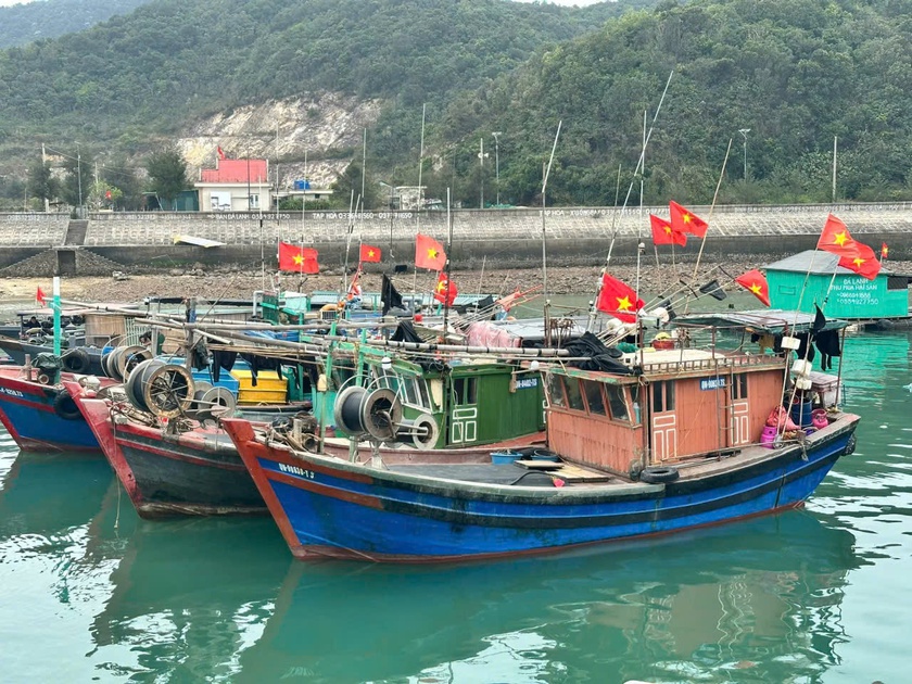 Đảo Trần, h&ograve;n đảo xa bờ của Quảng Ninh đ&atilde; sẵn s&agrave;ng cho "Ng&agrave;y hội non s&ocirc;ng" - Ảnh 3.