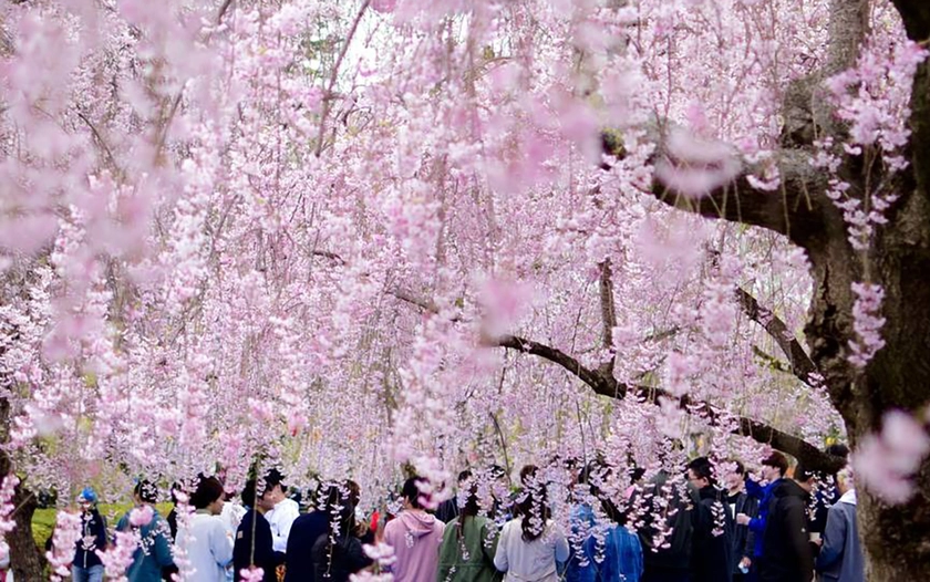 Định vị sức cuốn hút Việt Nam trong bức tranh du lịch châu Á 2026 - Ảnh 8.