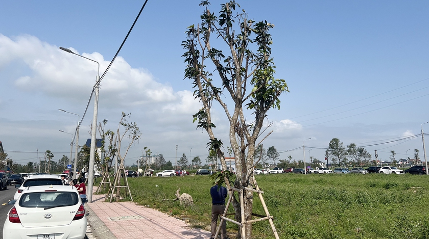 &Ocirc; t&ocirc; xếp h&agrave;ng d&agrave;i mua đất dự &aacute;n ở H&agrave; Tĩnh - Ảnh 6.