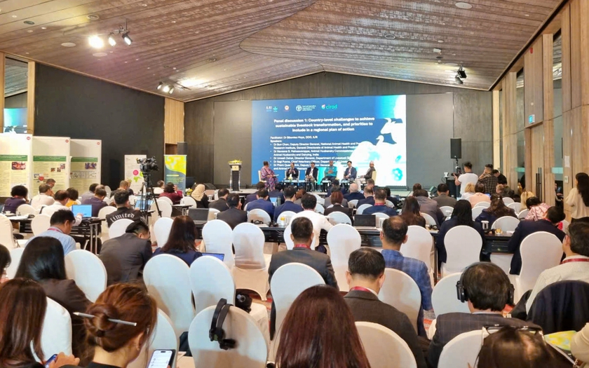 Chuyển đổi chăn nu&ocirc;i bền vững trong hệ thống lương thực thực phẩm ở ch&acirc;u &Aacute; - Th&aacute;i B&igrave;nh Dương - Ảnh 1.