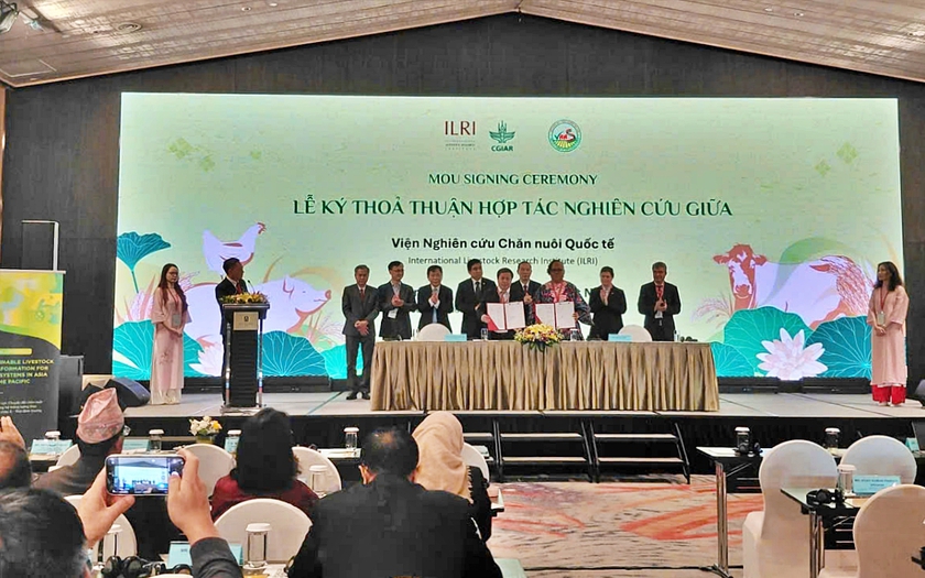 Chuyển đổi chăn nu&ocirc;i bền vững trong hệ thống lương thực thực phẩm ở ch&acirc;u &Aacute; - Th&aacute;i B&igrave;nh Dương - Ảnh 6.