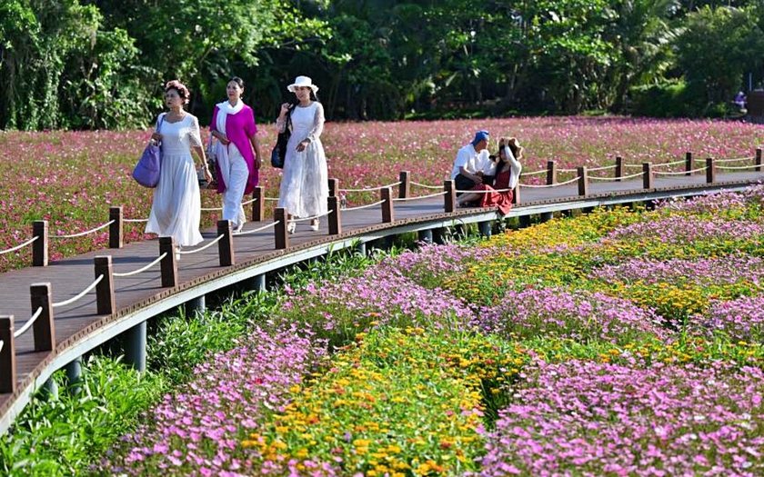 Du lịch "săn" hoa m&ugrave;a xu&acirc;n g&oacute;p phần b&ugrave;ng nổ kinh tế Trung Quốc - Ảnh 1.