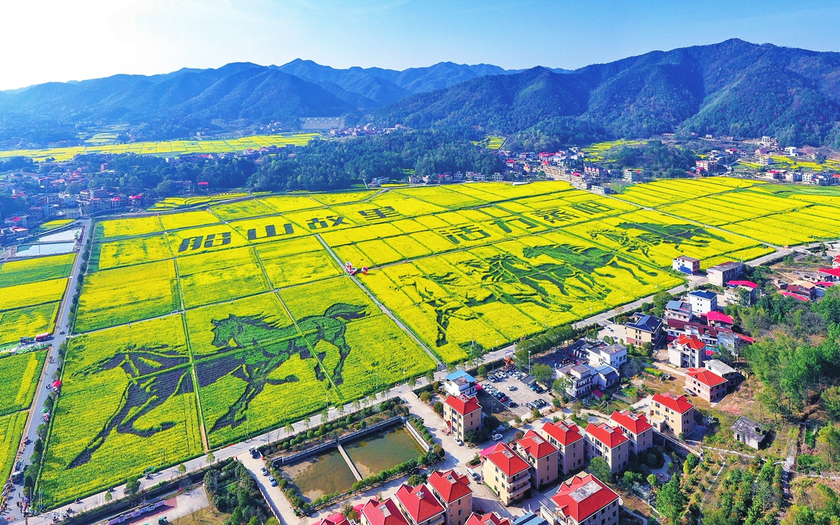 Du lịch "săn" hoa m&ugrave;a xu&acirc;n g&oacute;p phần b&ugrave;ng nổ kinh tế Trung Quốc - Ảnh 2.