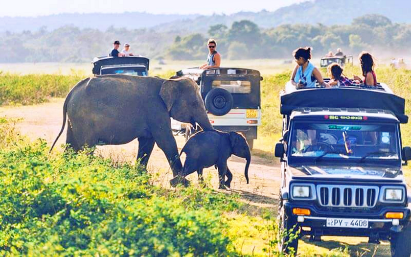 Việt Nam v&agrave; Nhật Bản dẫn đầu c&aacute;c điểm đến "đảo chiều" du lịch - Ảnh 8.