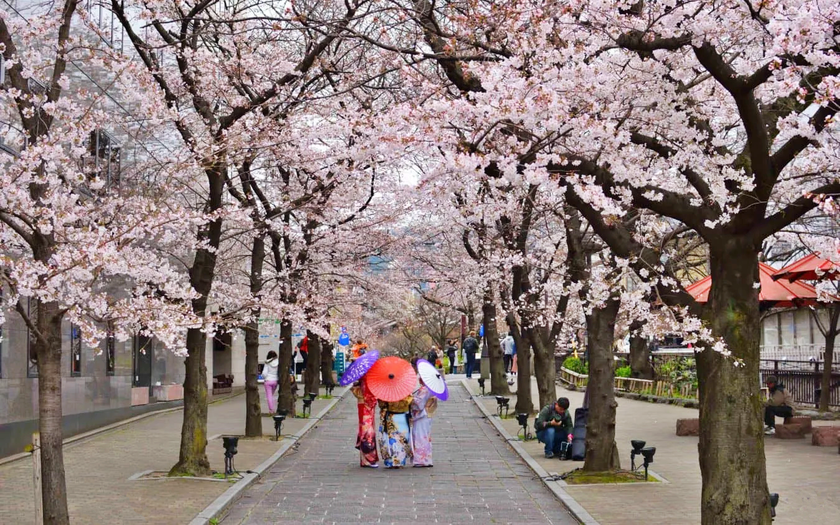 Việt Nam v&agrave; Nhật Bản dẫn đầu c&aacute;c điểm đến "đảo chiều" du lịch - Ảnh 1.