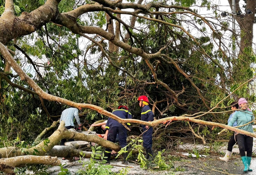 D&ocirc;ng lốc l&agrave;m hư hại gần 60 ng&ocirc;i nh&agrave; ở L&agrave;o Cai, 1 c&ocirc;ng nh&acirc;n m&ocirc;i trường bị thương - Ảnh 7.