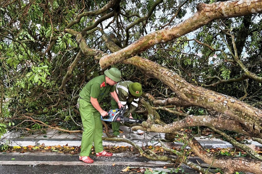 D&ocirc;ng lốc l&agrave;m hư hại gần 60 ng&ocirc;i nh&agrave; ở L&agrave;o Cai, 1 c&ocirc;ng nh&acirc;n m&ocirc;i trường bị thương - Ảnh 8.